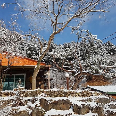 Bluesky Pension Pocheon Buitenkant foto