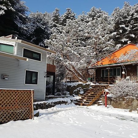 Bluesky Pension Pocheon Buitenkant foto