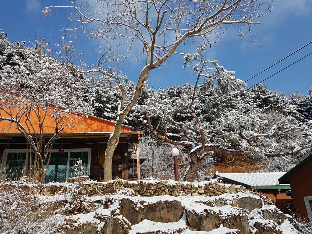 Bluesky Pension Pocheon Buitenkant foto