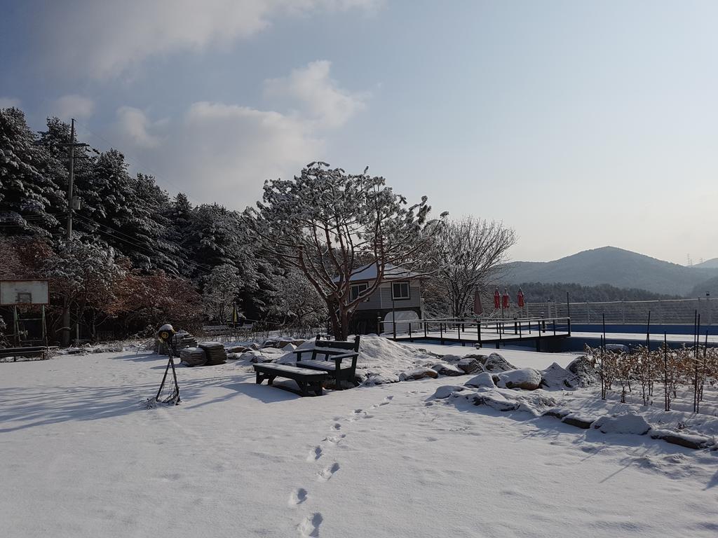 Bluesky Pension Pocheon Buitenkant foto
