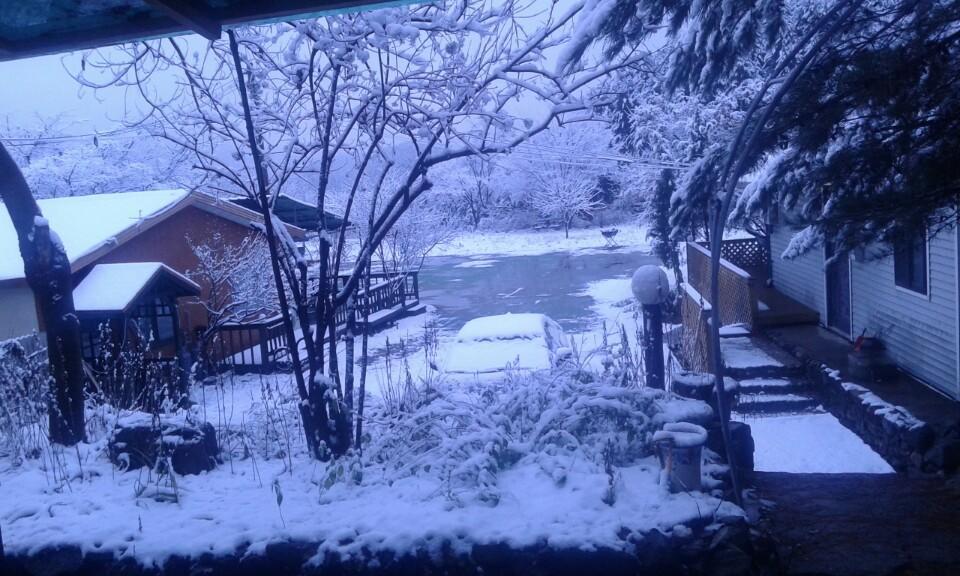 Bluesky Pension Pocheon Buitenkant foto