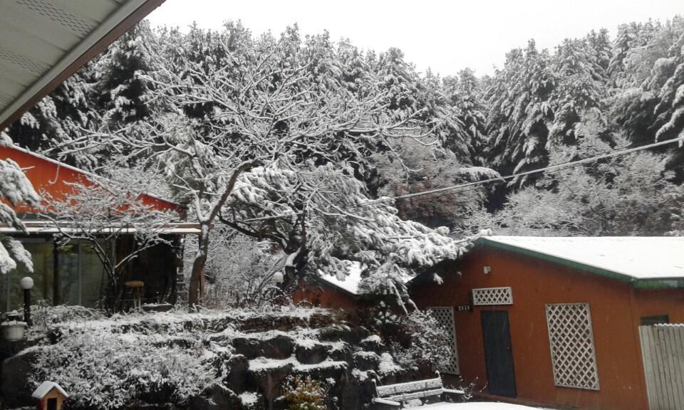 Bluesky Pension Pocheon Buitenkant foto