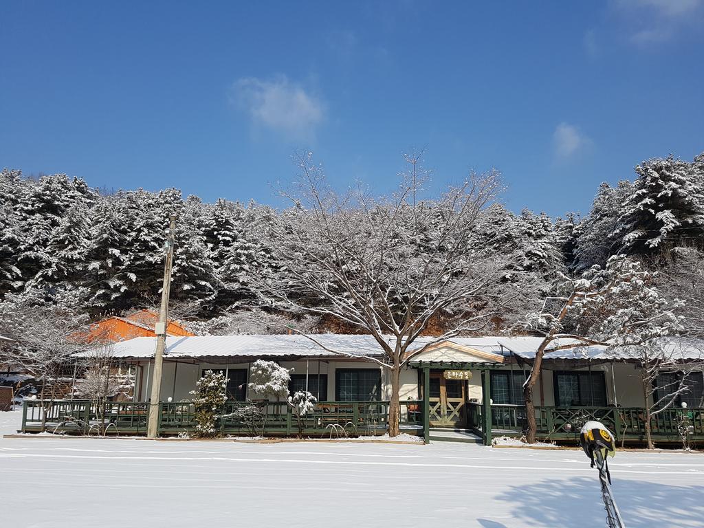 Bluesky Pension Pocheon Buitenkant foto